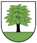 Elbenschwand