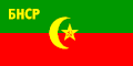 1921-yilning 23-sentabridan 1923-yil 11-oktabrigacha Buxoro Xalq Sovet Respublikasi bayrogʻi