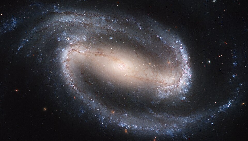 Fayl:Hubble2005-01-barred-spiral-galaxy-NGC1300.jpg