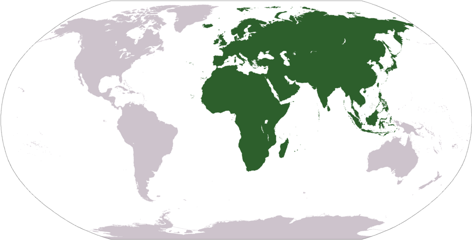 Fayl:LocationAfricaEurasia.png