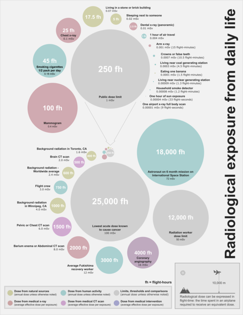 Fayl:Radiological exposure from daily life.png