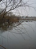 Safyani ko'lidan ko'rinish