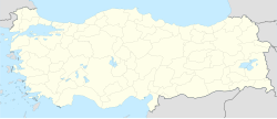 TZX/LTCG (Turkiya)