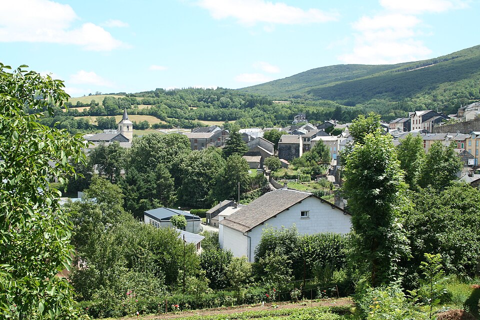 Fayl:Viane (81) vue generale.jpg