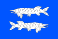 {{{rasmiy_nomi}}}ning bayrogʻi