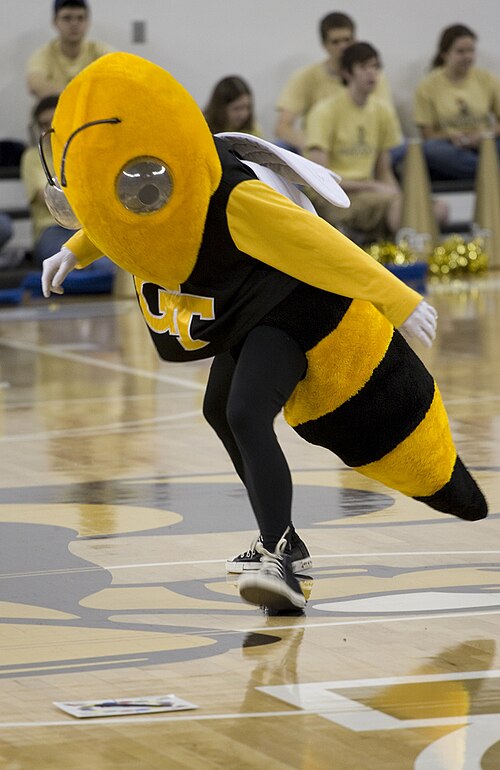 Fayl:GeorgiaTechBuzz.jpg