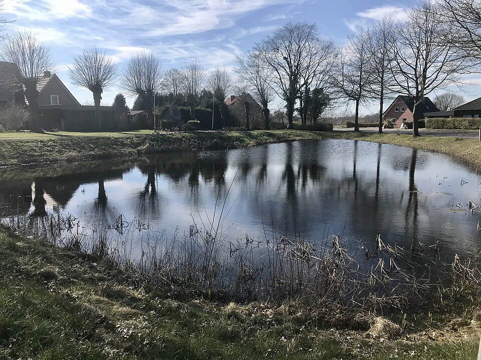 Fayl:Pond Sievershütten, Germany.jpg