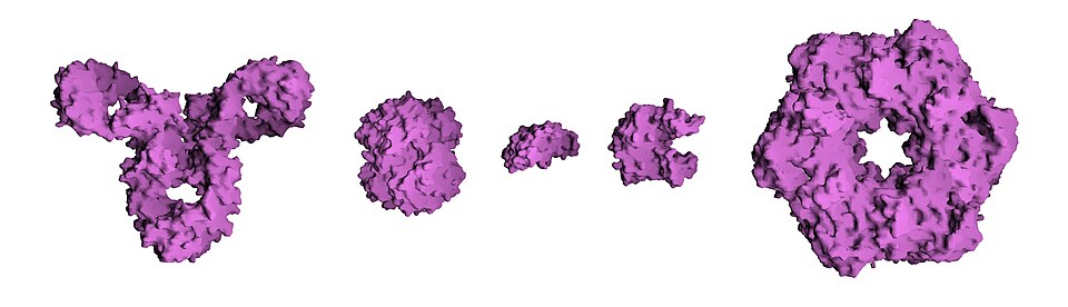 Fayl:Protein Composite.jpg