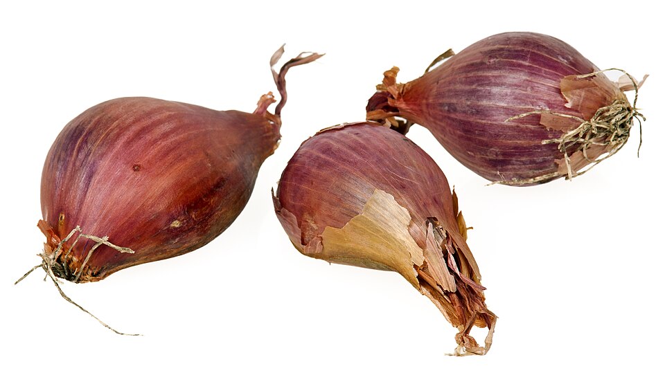 Fayl:Shallots-Whole.jpg