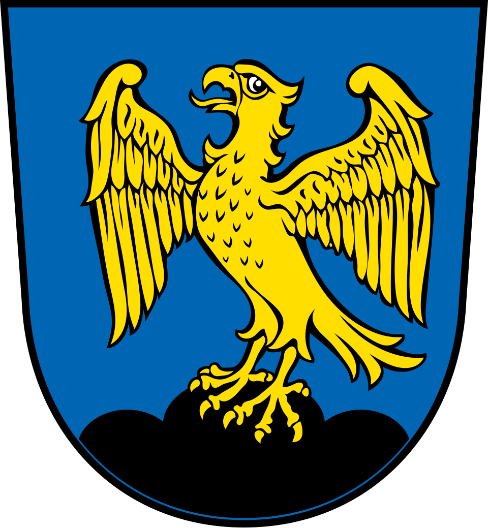 Fayl:DEU Falkenstein (Oberpfalz) COA.svg