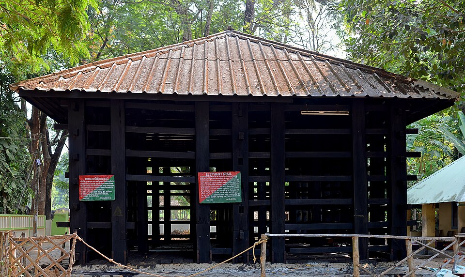Fayl:Elephant Kraal, Kodanad.jpg