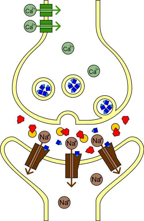 Fayl:Sarin Wirkungsweise.png