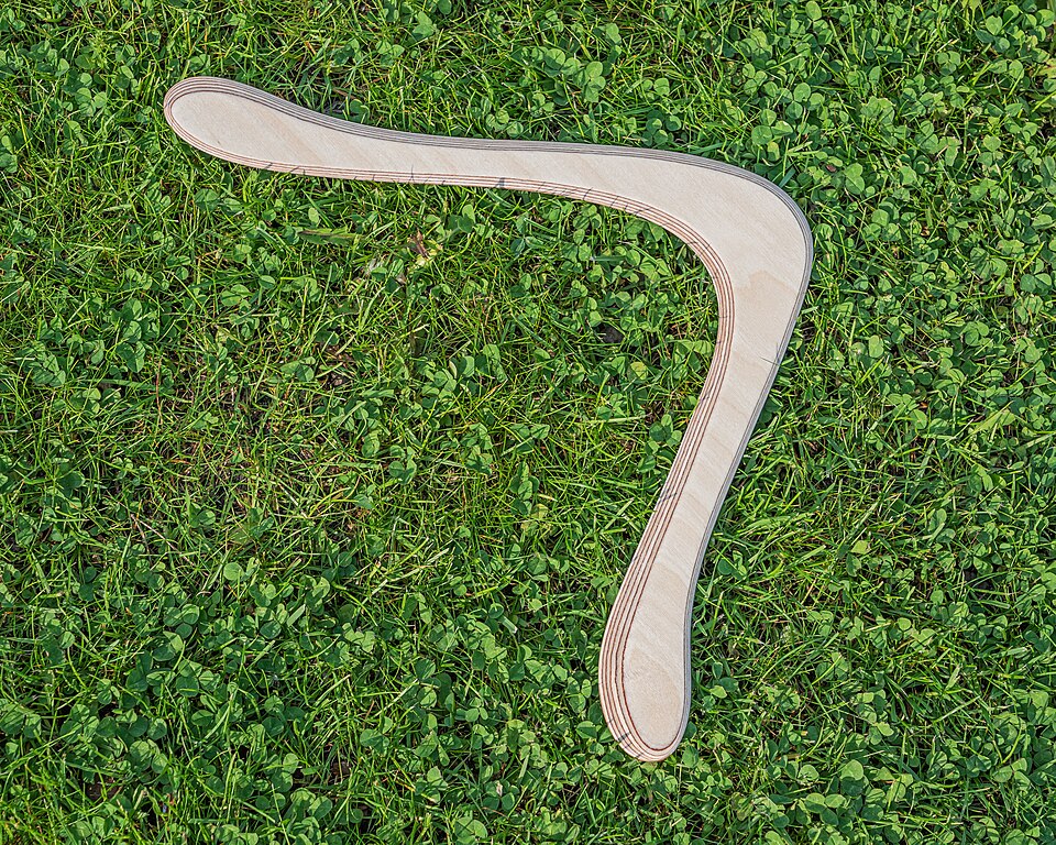 Fayl:Wooden boomerang asv2021-05.jpg