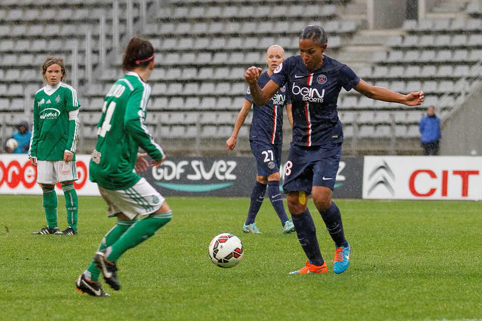 Fayl:20141116 PSG-ASSE 159.jpg