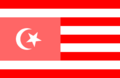 1922-yilning 6-aprelidan 1923-yilning 15-iyuliga qadar Buxoroda qoʻzgʻolon paytida ishlatilgan bayroq