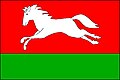 {{{rasmiy_nomi}}}ning bayrogʻi