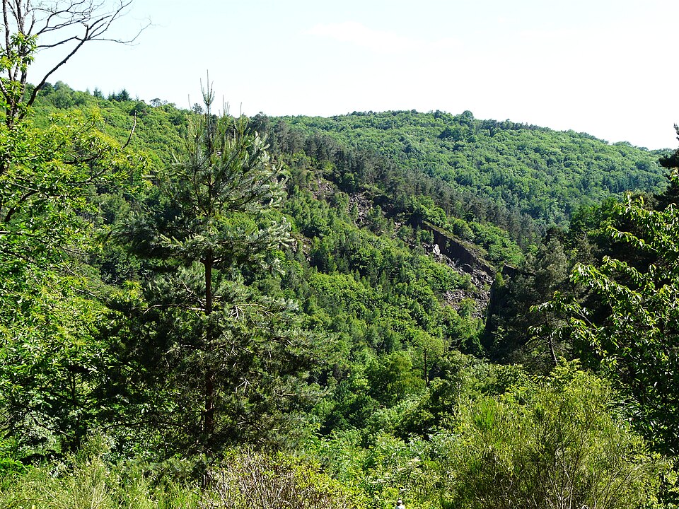 Fayl:Coiroux gorges saut Bergère.JPG