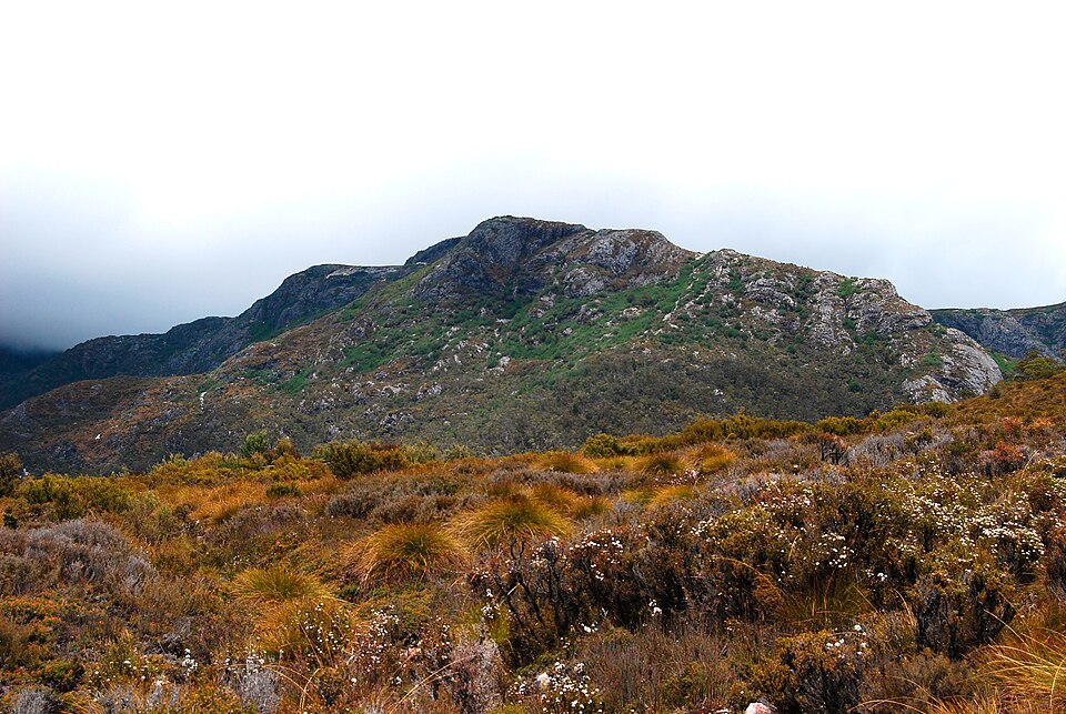 Fayl:Cradle mountain foothills - tasmania.jpg