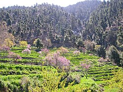 Afgʻonistonning sharqiy qismi
