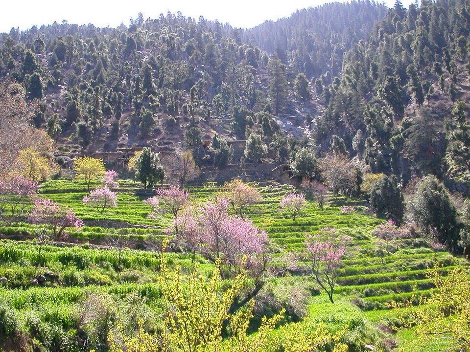 Fayl:Eastern Afghanistan.jpg