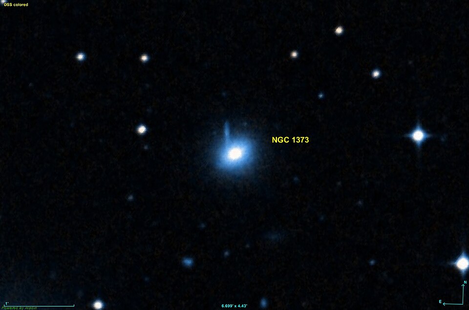 Fayl:NGC 1373 DSS.jpg