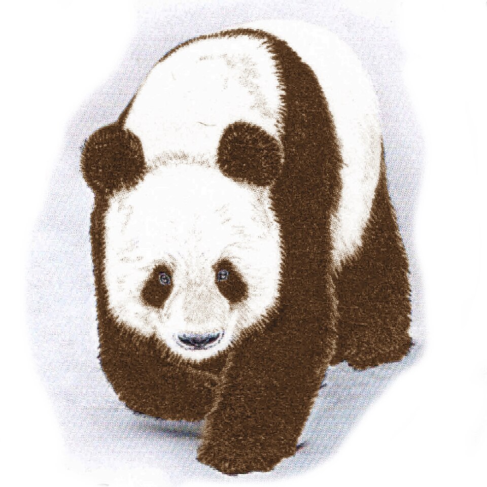 Fayl:Ailuropoda melanoleuca qinlingensis.jpg