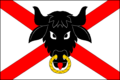 {{{rasmiy_nomi}}}ning bayrogʻi