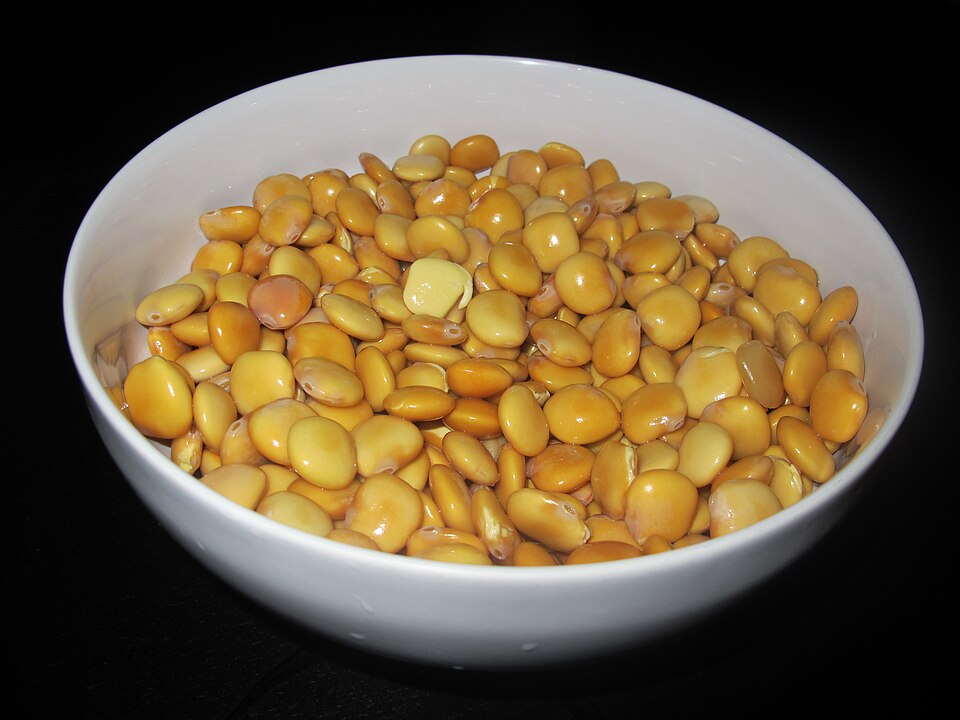 Fayl:Ciotola di lupini.jpg
