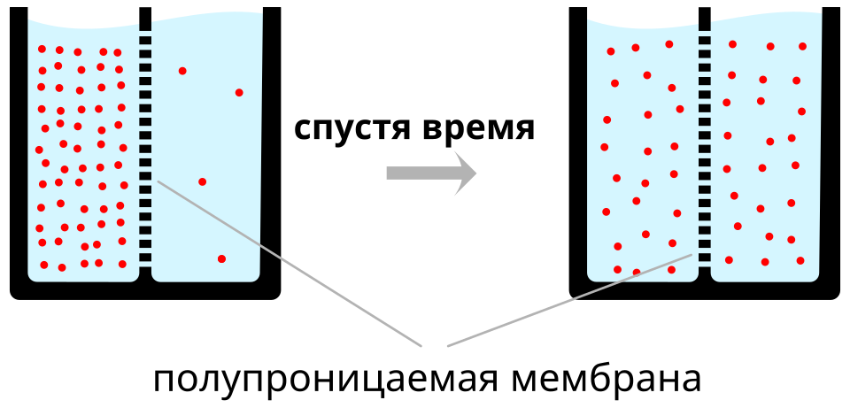 Fayl:Diffusion.ru.svg