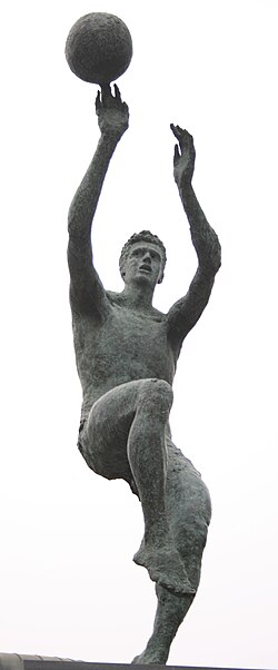 Fayl:Dražen Petrović.jpg