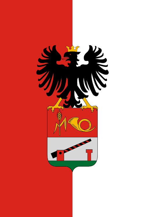Fayl:Flag of Hidasnémeti.svg