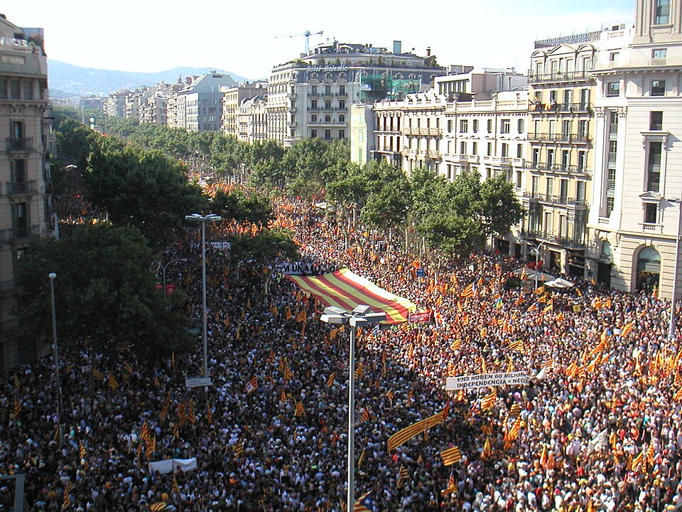 Fayl:Manifestació10J-293.JPG