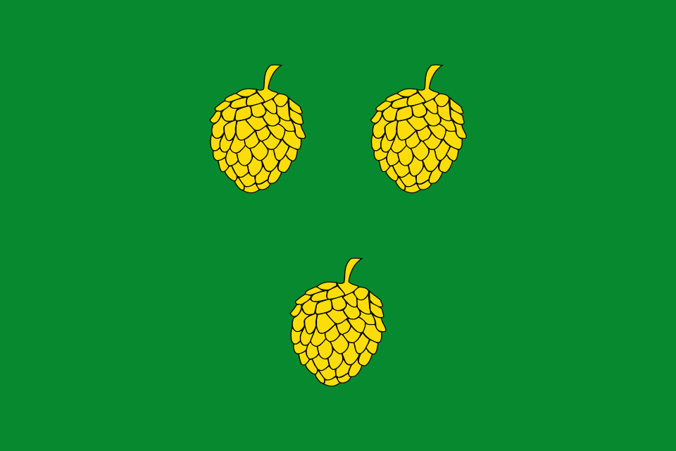 Fayl:Bandera de Pinell de Solsonès.svg