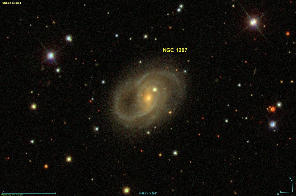 Fayl:NGC 1207 SDSS.jpg