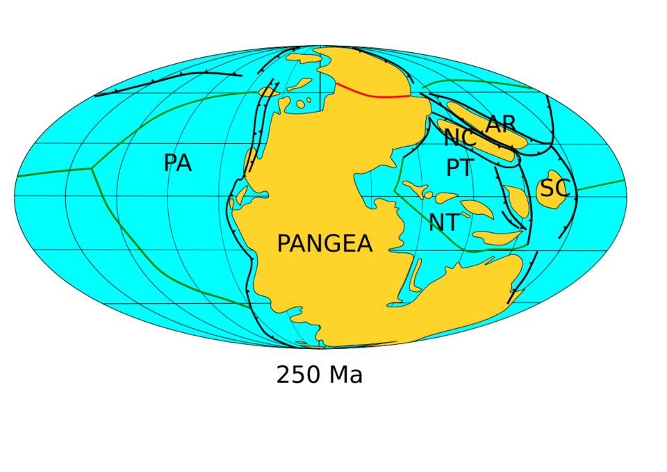 Fayl:Pangea assembly 250.png