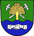 Coat of arms of Stará Ves