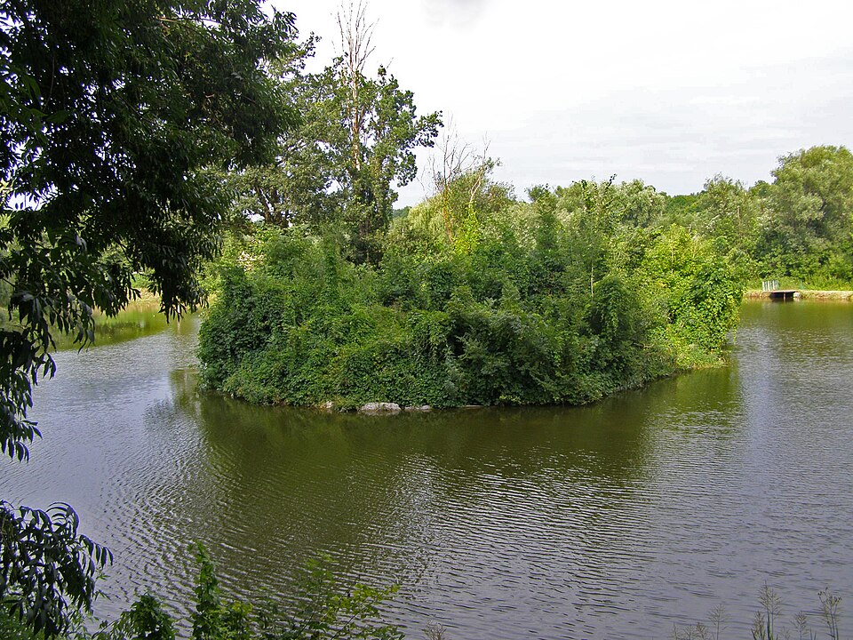 Fayl:Кагарлицький парк, острів.jpg