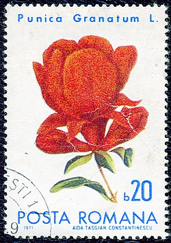 1971-yilgi Ruminiya markasi
