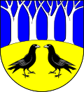 Rabenholz