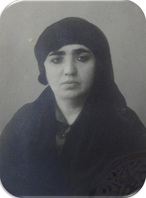 Fayl:Emine Cavidan Hanım.jpg