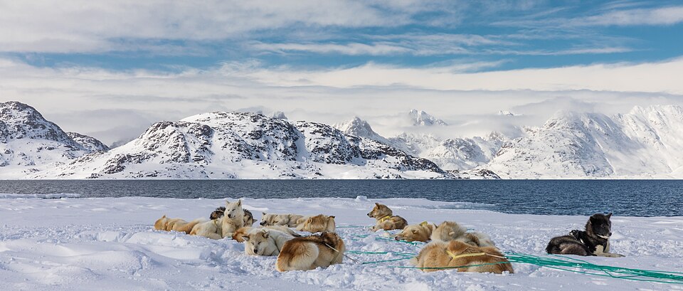 Fayl:Greenland 377 (34999131992).jpg