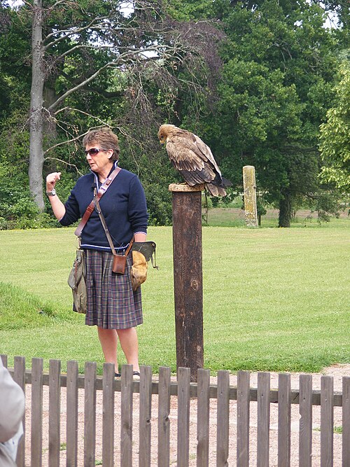 Fayl:Jemima Parry-Jones with tawny eagle.jpg