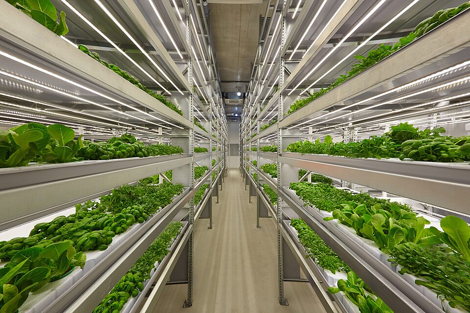 Fayl:IFarm.fi Vertical farm Finland.jpg