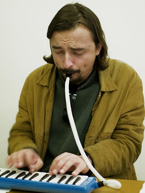 Fayl:Melodica with tube.jpg