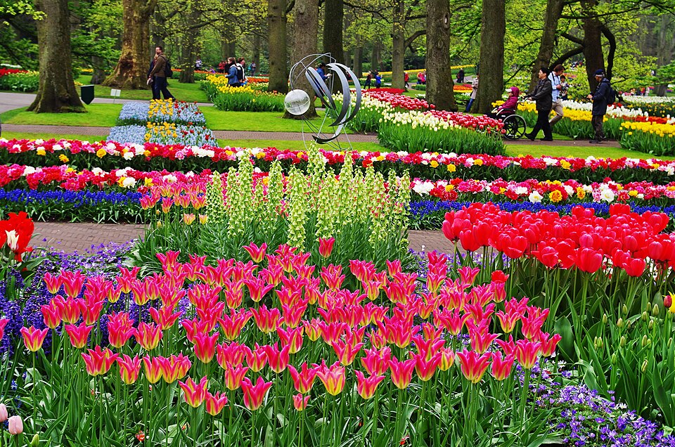 Fayl:NL-keukenhof-10.jpg