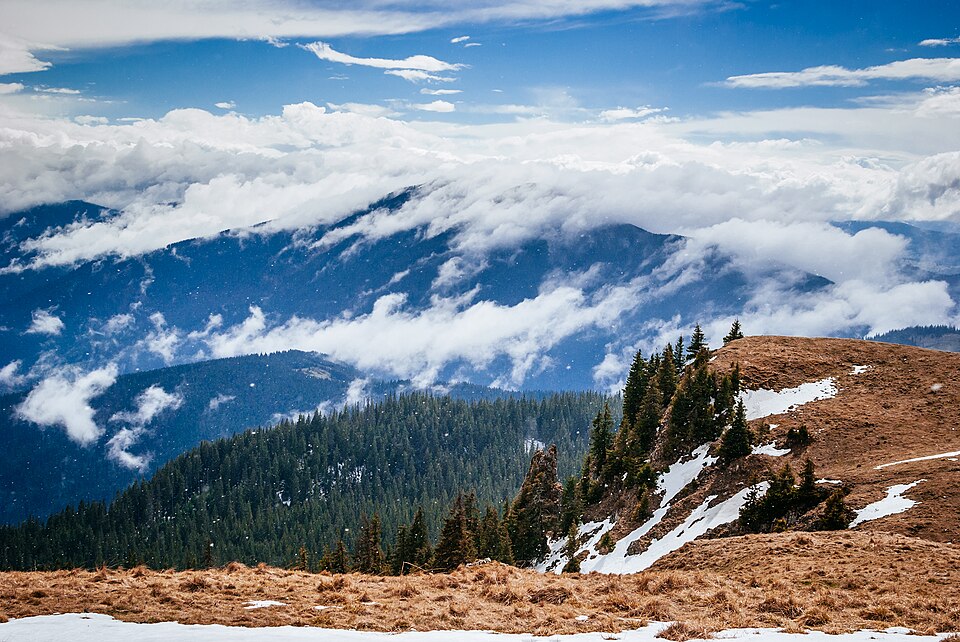 Fayl:Pietrosu Bistriței - panoramio.jpg