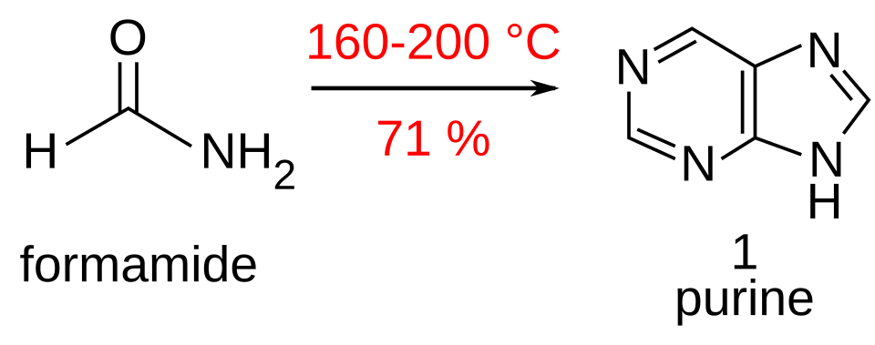 Fayl:Purinesynthesis-en.svg