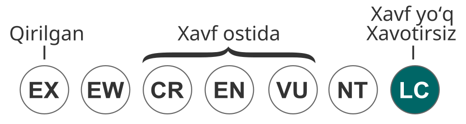 Fayl:Status iucn3.1 LC.svg