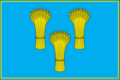 Tulchyn