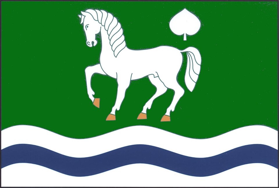 Fayl:Zbilidy flag.jpg